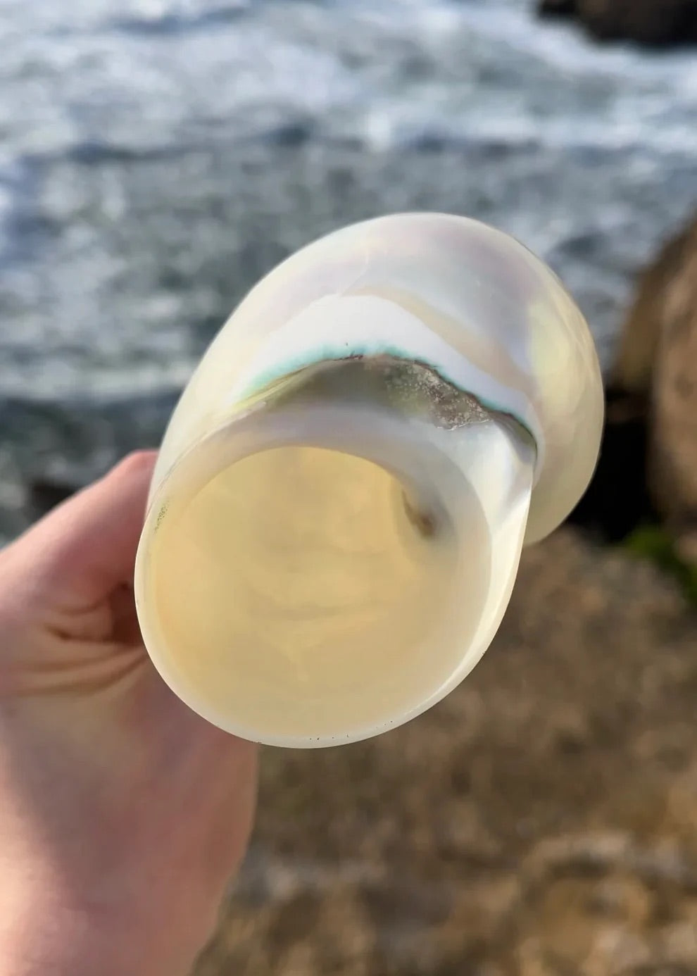 The Mermaid’s Kiss Champagne Glass